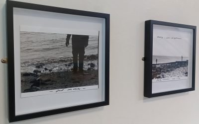 Shaping the 2025 Graduate Award Exhibition: Silent, Soft, Birds and Breeze